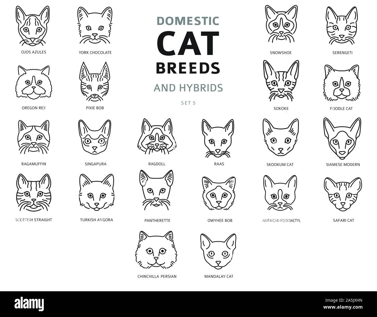 Domestic cat breeds and hybrids linear portraits collection isolated on white. Simple line cat`s head style set. Vector illustration Stock Vector